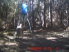 24oct09_deer_6