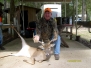 Jimbo's Buck